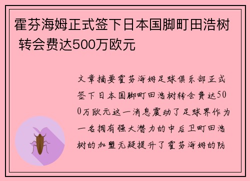 霍芬海姆正式签下日本国脚町田浩树 转会费达500万欧元